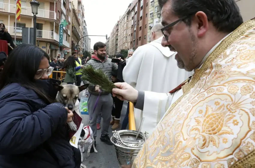  Este miércoles se celebrará la bendición de los animales de Sant Antoni