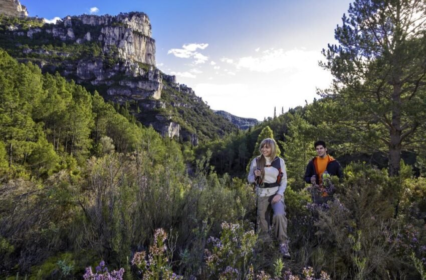  Abren inscripciones para Aventúrate: programa de actividades deportivas gratitudes