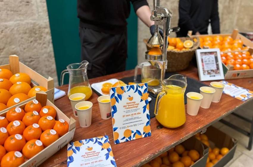  Zumo de naranja gratis en la Semana del Desayuno Valenciano